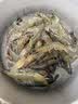 鲜活大海白虾300g（约12-18只） 实拍图