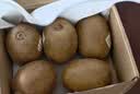 佳沛（zespri）新西兰金奇异果猕猴桃 5粒装 单果约88-103g 水果源头直发 实拍图