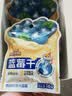 三只松鼠每日蓝莓干256g/16包 无添加水果干果脯小包装儿童老人办公室零食 实拍图