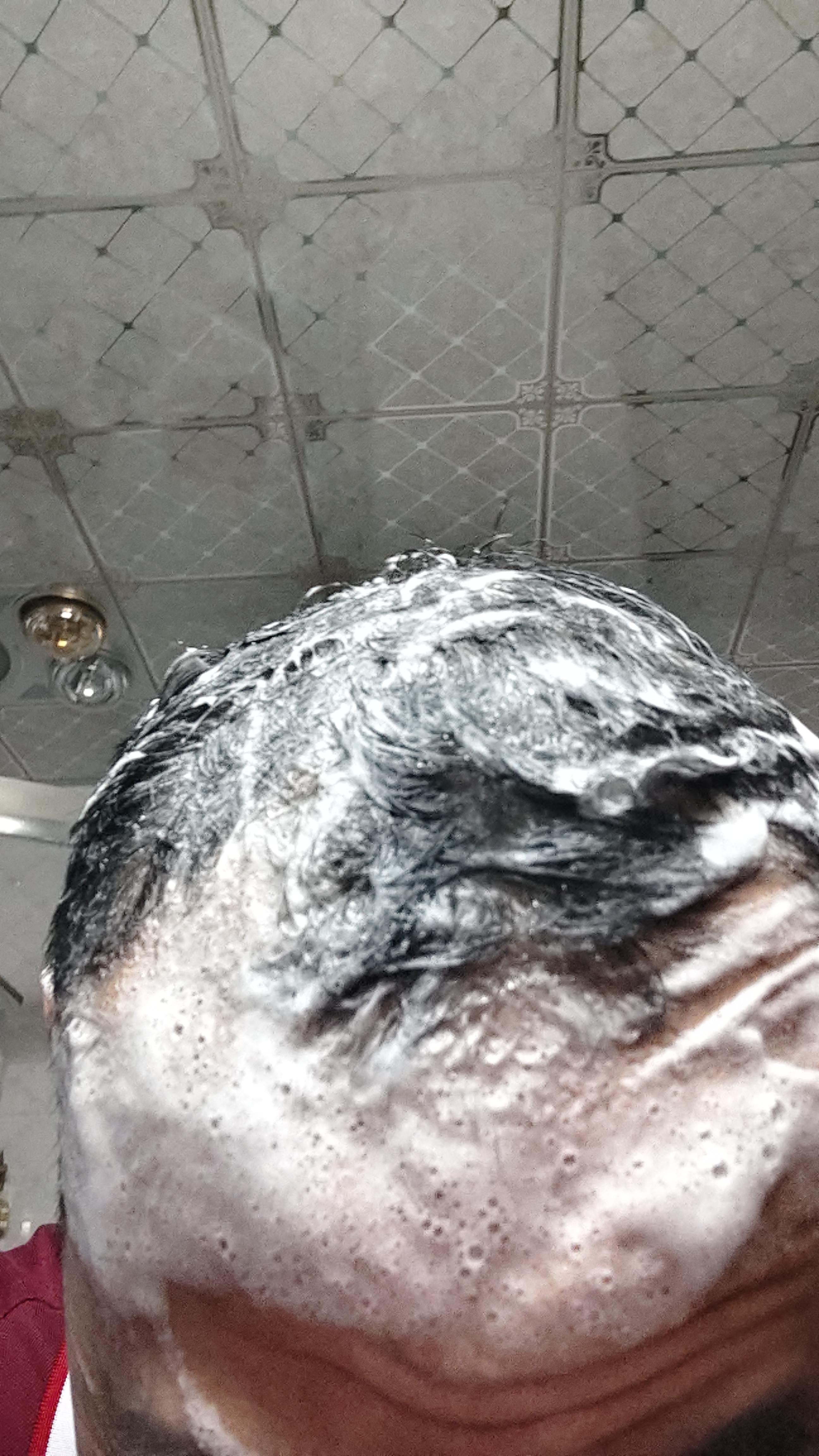 沙宣大红瓶水润去屑护发洗发水500g去油柔顺洗头膏洗发露男女洗头水 实拍图