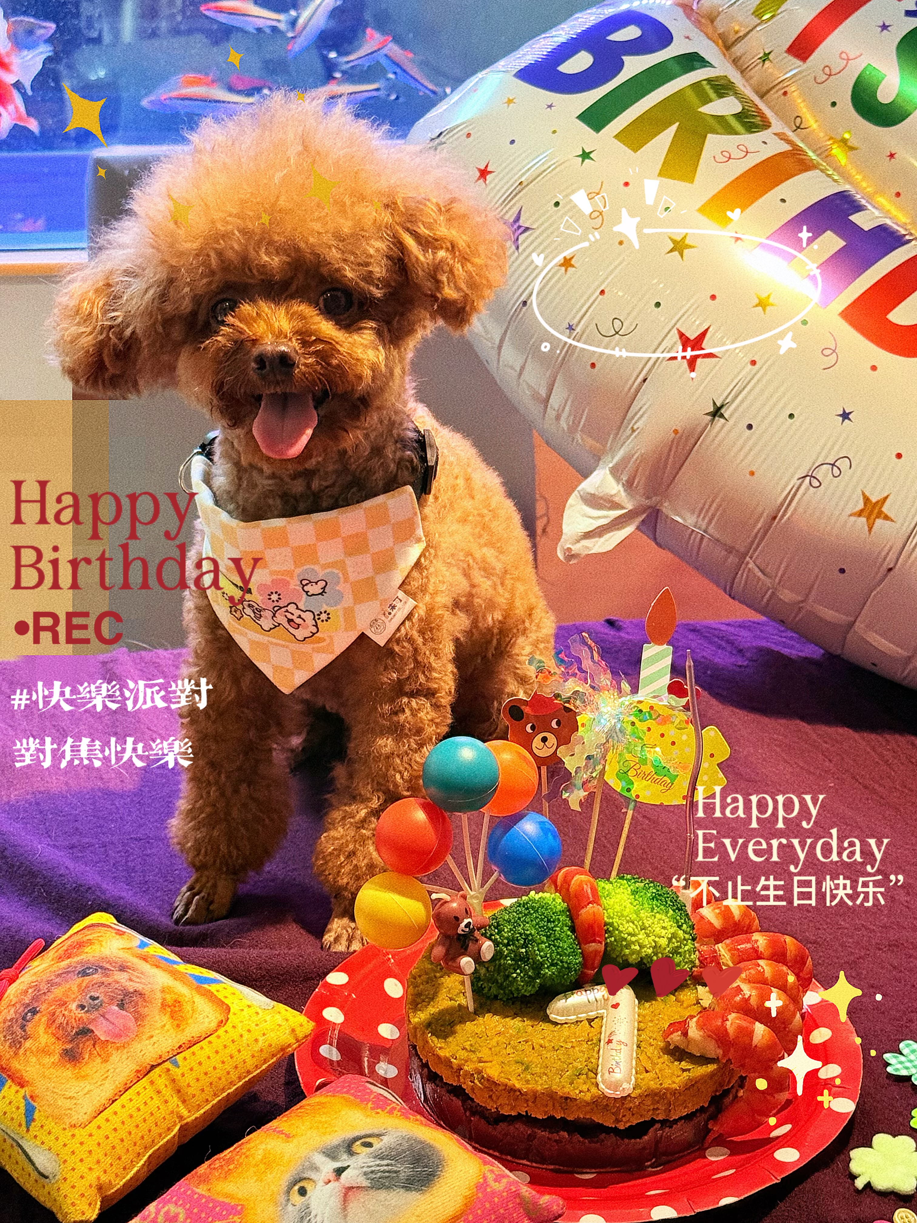 instinct天然百利进口狗粮经典无谷鸭肉梨小型犬粮4磅/1.8kg 实拍图