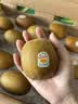 佳沛（zespri）新西兰 金奇异果特大果15粒134-146g猕猴桃水果礼盒 实拍图