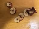 新边界 新疆特产红枣脆片无核红枣片红枣圈枣干零食泡茶煲汤100g*3 实拍图