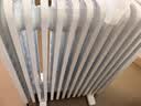 美的（Midea）【AI语音】油汀取暖器家用电热电暖器 婴儿防烫电暖气智能遥控 节能全屋速热加湿烤火炉 HYR22XGR 实拍图