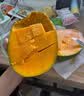 庾丰 芒果 新鲜水果生鲜整箱当季大青皮芒 热带孕妇攀枝花凯特芒 10斤装（净重8.5-9斤） 单果300克-500克+ 实拍图