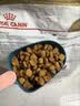 皇家英短成猫粮 BS34 通用粮 12月以上 4.5KG【宠物金选】 实拍图