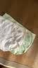 有棵树（YOUKESHU） 女士内裤女纯棉10A级抑菌夏季中腰无痕短裤女生三角新款清仓特惠 豆绿+豆粉+浅杏 10A抑菌纯棉款 3条 L 推荐（100-120斤） 实拍图