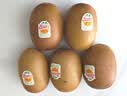 佳沛（zespri）新西兰金奇异果猕猴桃 5粒装 单果约88-103g 水果源头直发 实拍图