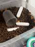 伯纳天纯中大型犬全价成年犬粮金毛宠物主粮羊肉蔓越莓15kg囤货装 实拍图