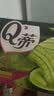 好丽友（ORION）Q蒂蛋糕经典抹茶味12枚336g/盒 面包蛋糕营养早餐休闲零食下午茶 实拍图
