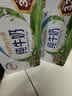 伊利【新鲜日期】纯牛奶250ml*24盒 3.3g优质乳蛋白早餐奶7-10月 实拍图