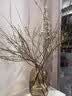 蓝桂圆雪柳鲜枝 干枝水培开花 内客厅插花好养易活70-80CM20枝源头直发 实拍图