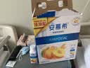 伊利安慕希黄桃燕麦风味酸奶200g*10瓶/箱  礼盒装 实拍图