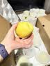 京鲜生 长城河北雪花梨 冰糖雪梨 净重10斤装 单果250g+ 新鲜水果 实拍图