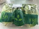 【烧烤季】钟灵山罗马生菜400g 实拍图