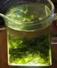 贡苑小叶苦丁茶250g 特级2026新茶嫩芽四川峨眉山明前头采茶叶 实拍图