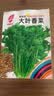 【限时优惠】随种随吃调料菜种子组合春季四季种耐热阳台盆栽蔬菜 大叶香菜种子1包约1000粒 一包约1000粒 实拍图