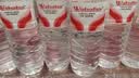 娃哈哈饮用纯净水596/350ml/12/24瓶整箱批发日常饮用水娃哈哈纯净水 娃哈哈纯净水596ml*24瓶【纸箱塑膜随机发货】 实拍图
