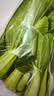 上海青约500g(油菜) 实拍图