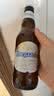 福佳白精酿啤酒330ml*24瓶整箱装比利时风味百威集团 实拍图