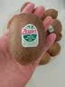 佳沛（zespri）绿奇异果 优选大果12粒单果约115-135g  水果 猕猴桃 实拍图