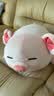 名创优品（MINISO）小猪B-BO玩偶抱枕娃娃公仔抱睡生日礼物女学生午睡枕趴趴bobo猪 实拍图