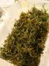 龟真寿 干苔藓 150g 乌龟过冬垫材保温保湿草龟巴西龟冬眠用品保暖苔藓 实拍图