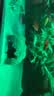 萌嘟星宠鱼缸造景装饰仿真酒桶摆件鱼虾繁殖躲避罐水族箱创意布景 小号 实拍图
