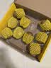佳沛（zespri）新西兰金奇异果10粒巨大果146-175g猕猴桃水果礼盒 实拍图