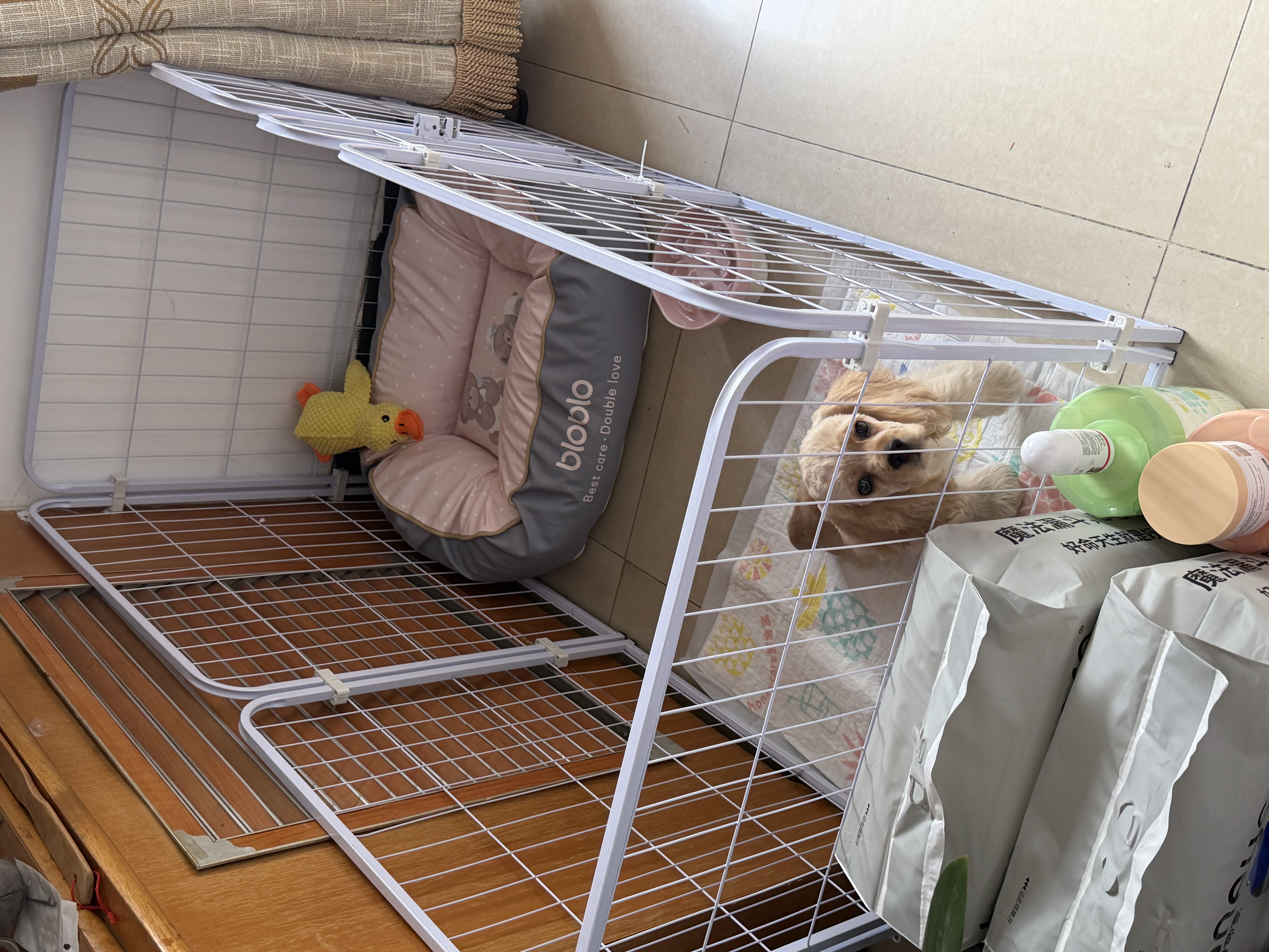 贝初众狗围栏室内宠物围栏狗笼子狗栅栏狗笼小中大型犬猫围栏狗笼折叠 120*60*60cm【适合中小型犬】 【6片】自由拼接组合围栏 加粗加密框架/无惧啃咬 实拍图