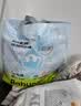 babycareAirpro拉拉裤大号mini装XL20片(12-17kg)婴儿尿不湿秋冬不闷汗 实拍图