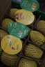 佳沛（zespri）新西兰金奇异果12粒特大果124-146g猕猴桃水果礼盒 实拍图