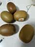 佳沛（zespri）新西兰金奇异果猕猴桃 5粒装 单果约88-103g 水果源头直发 实拍图