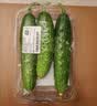 【水果菜】东北旱黄瓜约550g 实拍图
