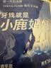 小鹿妈妈品质细滑牙线棒牙签家庭装超细牙线棒30支 实拍图