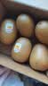 佳沛（zespri）新西兰金奇异果猕猴桃 5粒装 单果约88-103g 水果源头直发 实拍图