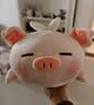 名创优品（MINISO）小猪B-BO玩偶抱枕娃娃公仔抱睡生日礼物女学生午睡枕趴趴bobo猪 实拍图
