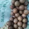 三只松鼠量贩装夏威夷果250g/袋 儿童每日坚果炒货休闲零食团购送礼 实拍图
