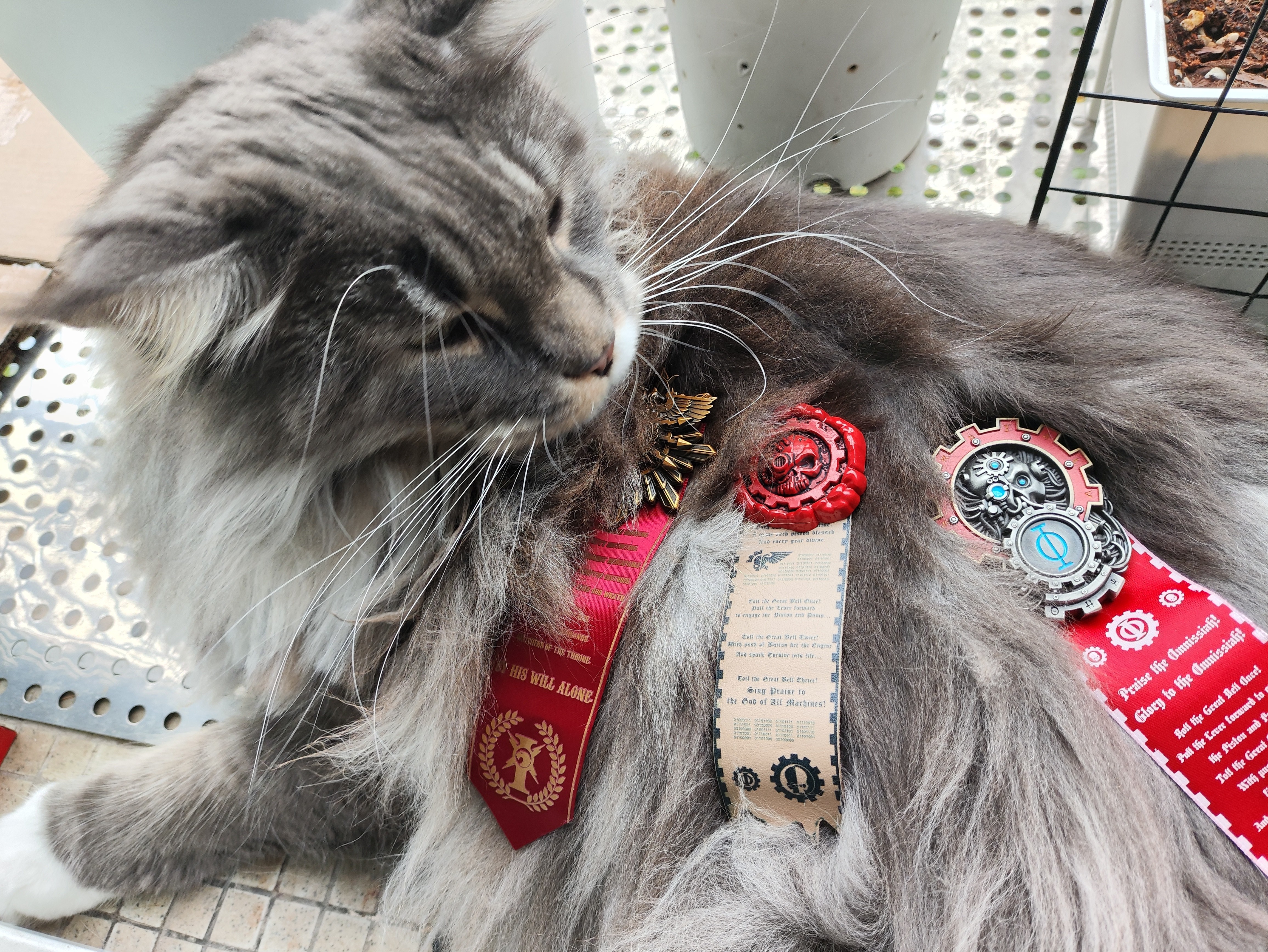 维克（Virbac）耳漂滴耳液狗狗猫咪预防耳螨清洁耳道洗耳液犬猫耳部清洁宠物滴耳液 60ml 实拍图