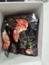 黄金香即食黑猪爆肉烤肠360g/10个 儿童零食火腿肠午餐肉火山石烤肠热狗 实拍图