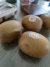 佳沛（zespri）新西兰金奇异果10粒巨大果146-175g猕猴桃水果礼盒 实拍图