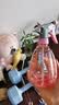 喷壶浇花浇水喷雾器气压式喷水壶家用园艺养花500ml 南瓜喷壶透蓝【1个装】 实拍图