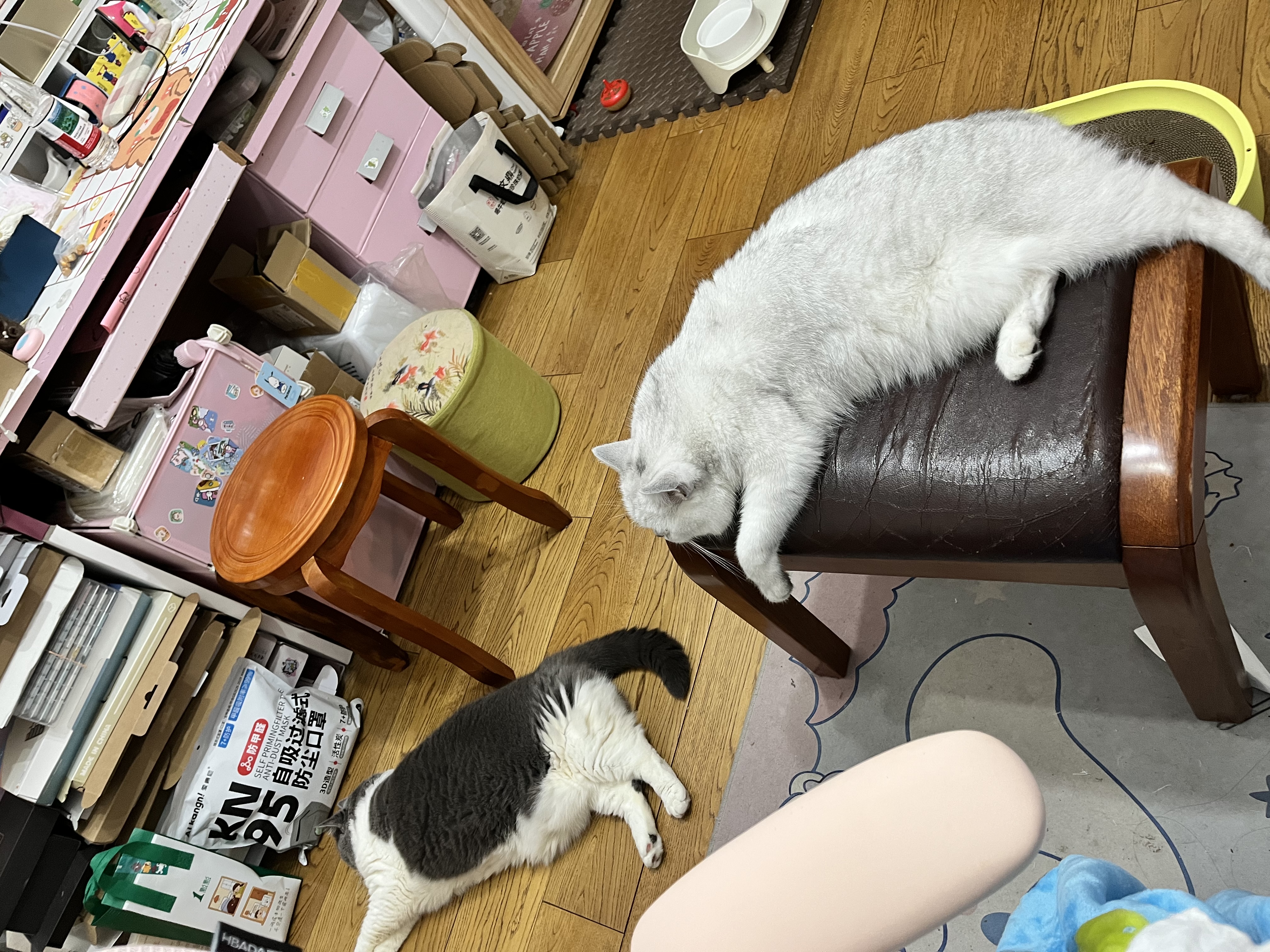 Orijen【宠物金选】渴望猫粮 成猫幼猫粮 原味鸡肉进口1.8kg效期27/10 实拍图
