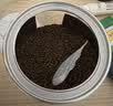 同仁堂品牌 北京同仁堂沙苑子250g男性阳补陕西原产泡茶泡酒非中药 实拍图