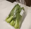 上海青约500g(油菜) 实拍图