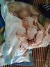 獐子岛 冻煮虾夷扇贝800g 大号去脏去沙 海鲜水产生鲜贝类火锅食材原料 实拍图