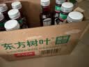 农夫山泉东方树叶菊花普洱500ml*15瓶无糖茶饮料0糖0脂0卡饮品整箱装 实拍图