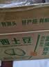 京鲜生 2026甘肃定西土豆净重5斤 单果100g+ 早餐 马铃薯洋芋 源头直发 实拍图