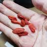 杞里香红枸杞子特优级大果枸杞500g新货宁夏中头茬免洗枸杞茶构苟杞泡茶 实拍图
