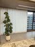 叹为观止大型植物发财树各种大颗盆栽开业乔迁客厅办公室内好养大型花卉 造型鸭脚木【1.5-1.7米】 含盆 实拍图